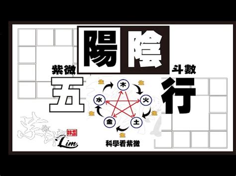 陽女 金4局|【陽女 金4局】陽女金4局！命帶桃花運旺盛，異性緣爆棚